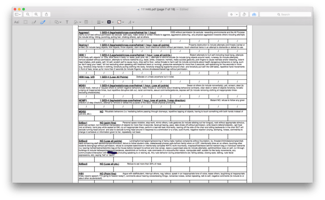 Behavior sheet with chart of punishable behavior.